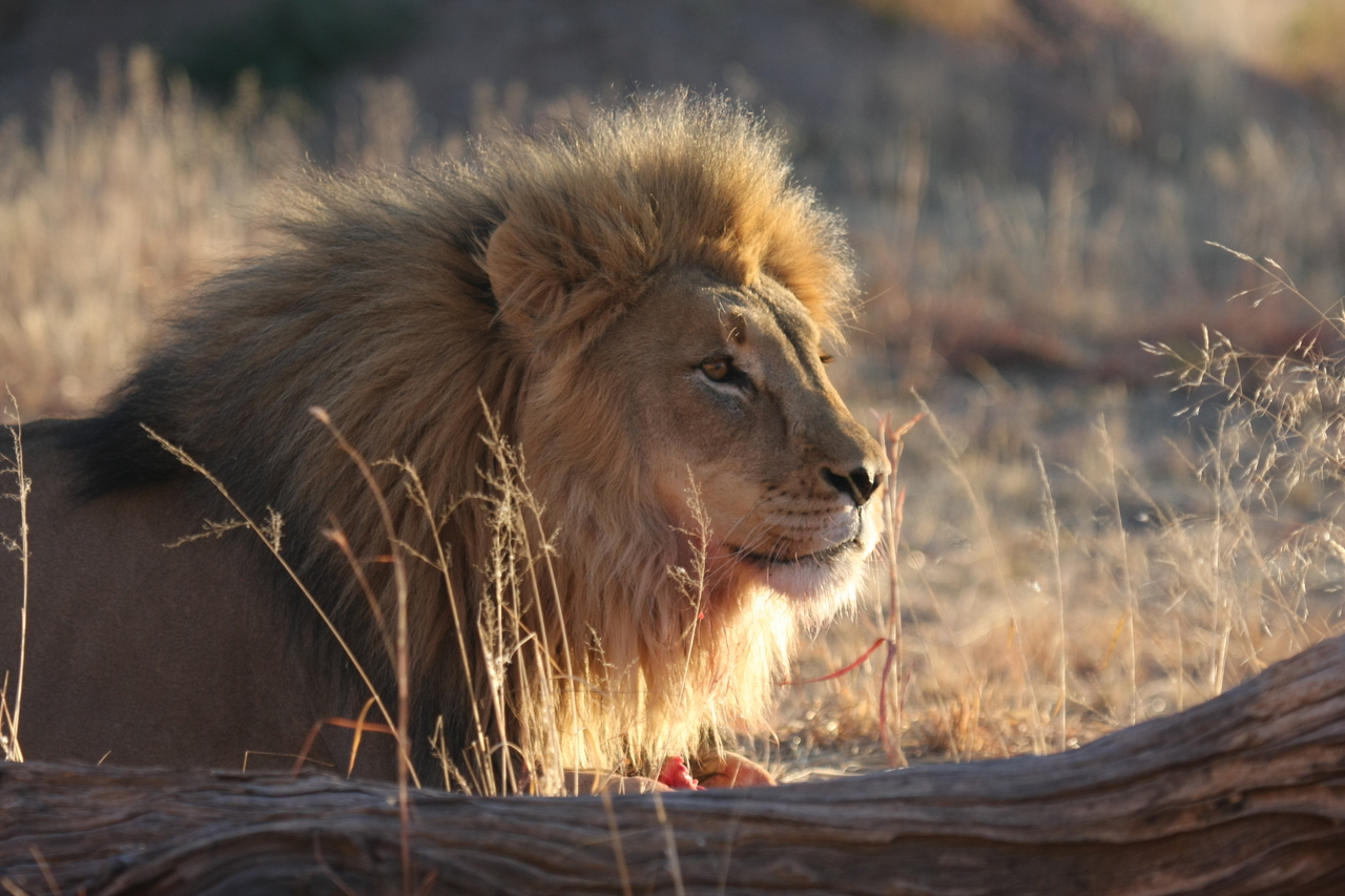 [8140] 2016_06_23_11_51_58_Africa_Canon_EOS_40D_IMG__00822.jpg