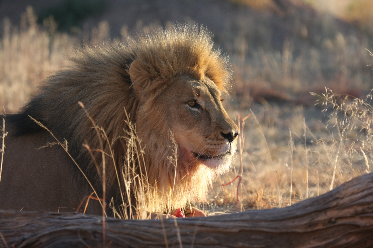 [8144] 2016_06_23_11_51_58_Africa_Canon_EOS_40D_IMG__01657.jpg