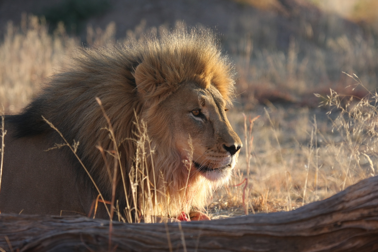 [8148] 2016_06_23_11_51_58_Africa_Canon_EOS_40D_IMG__09105.jpg