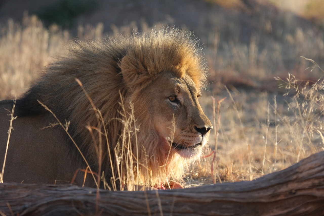 [8149] 2016_06_23_11_51_59_Africa_Canon_EOS_40D_IMG__00825.jpg