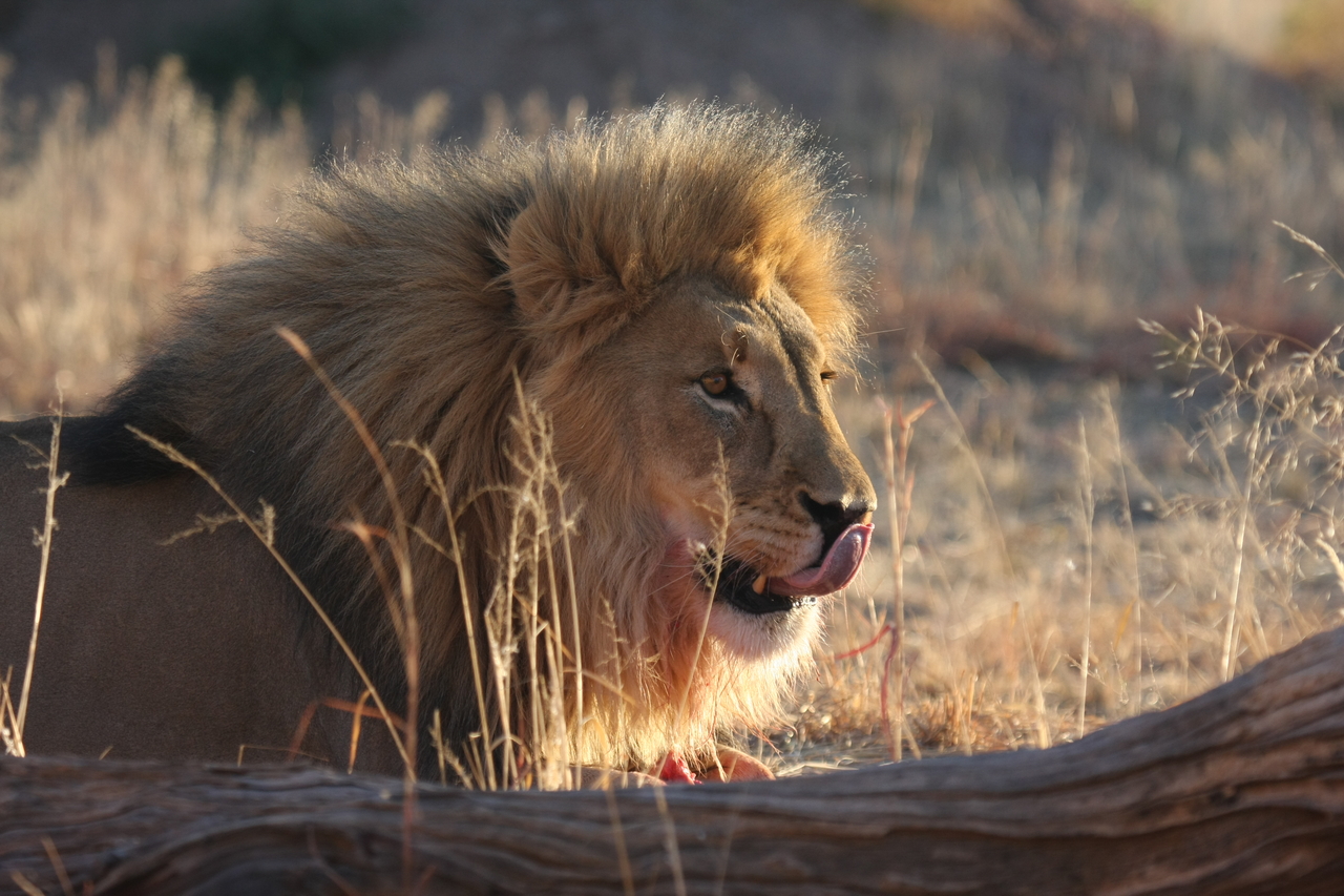 [8150] 2016_06_23_11_51_59_Africa_Canon_EOS_40D_IMG__00826.jpg