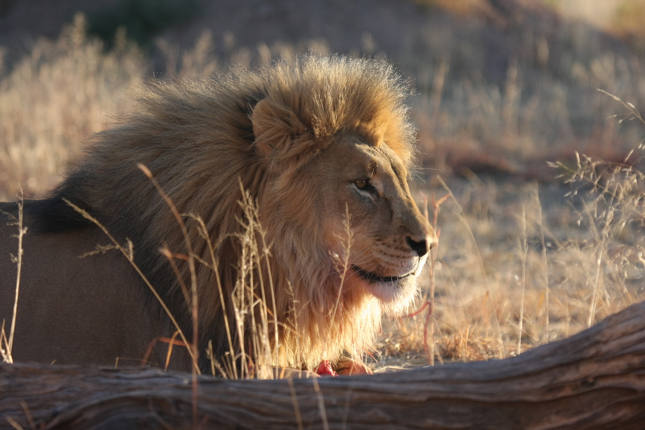 [8160] 2016_06_23_11_52_00_Africa_Canon_EOS_40D_IMG__01662.jpg