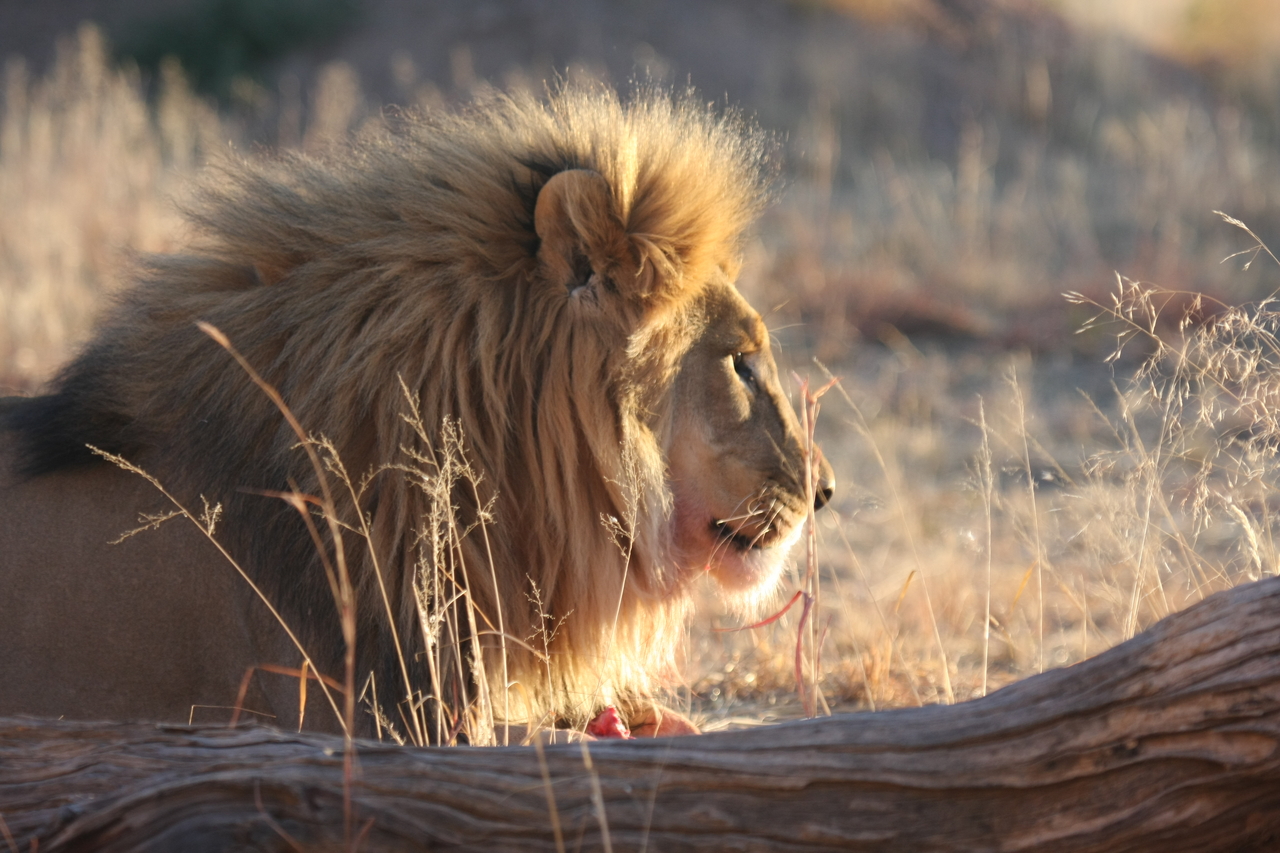 [8168] 2016_06_23_11_52_03_Africa_Canon_EOS_40D_IMG__09111.jpg