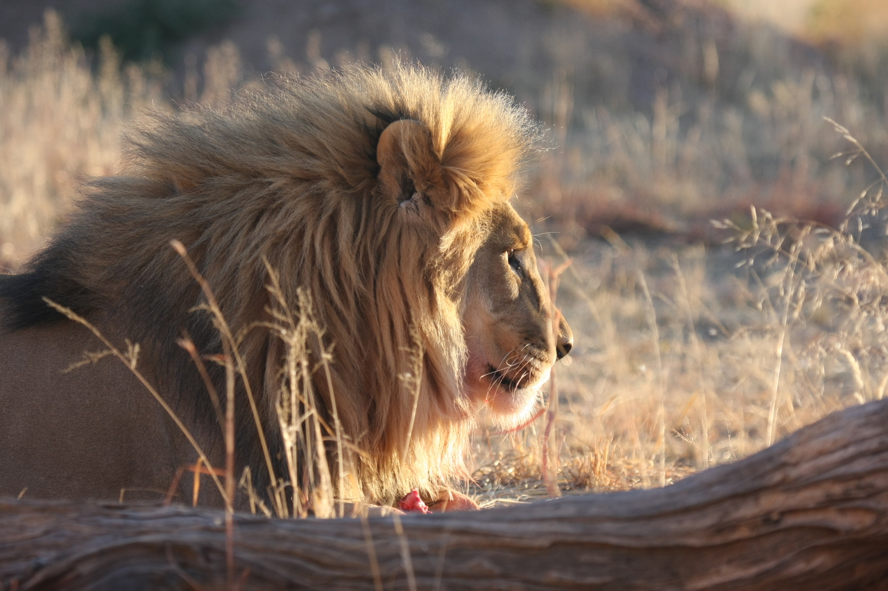 [8169] 2016_06_23_11_52_03_Africa_Canon_EOS_40D_IMG__09113.jpg