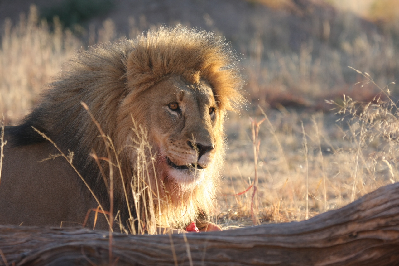 [8170] 2016_06_23_11_52_04_Africa_Canon_EOS_40D_IMG__00833.jpg