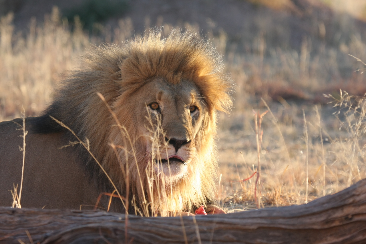 [8176] 2016_06_23_11_52_05_Africa_Canon_EOS_40D_IMG__00835.jpg