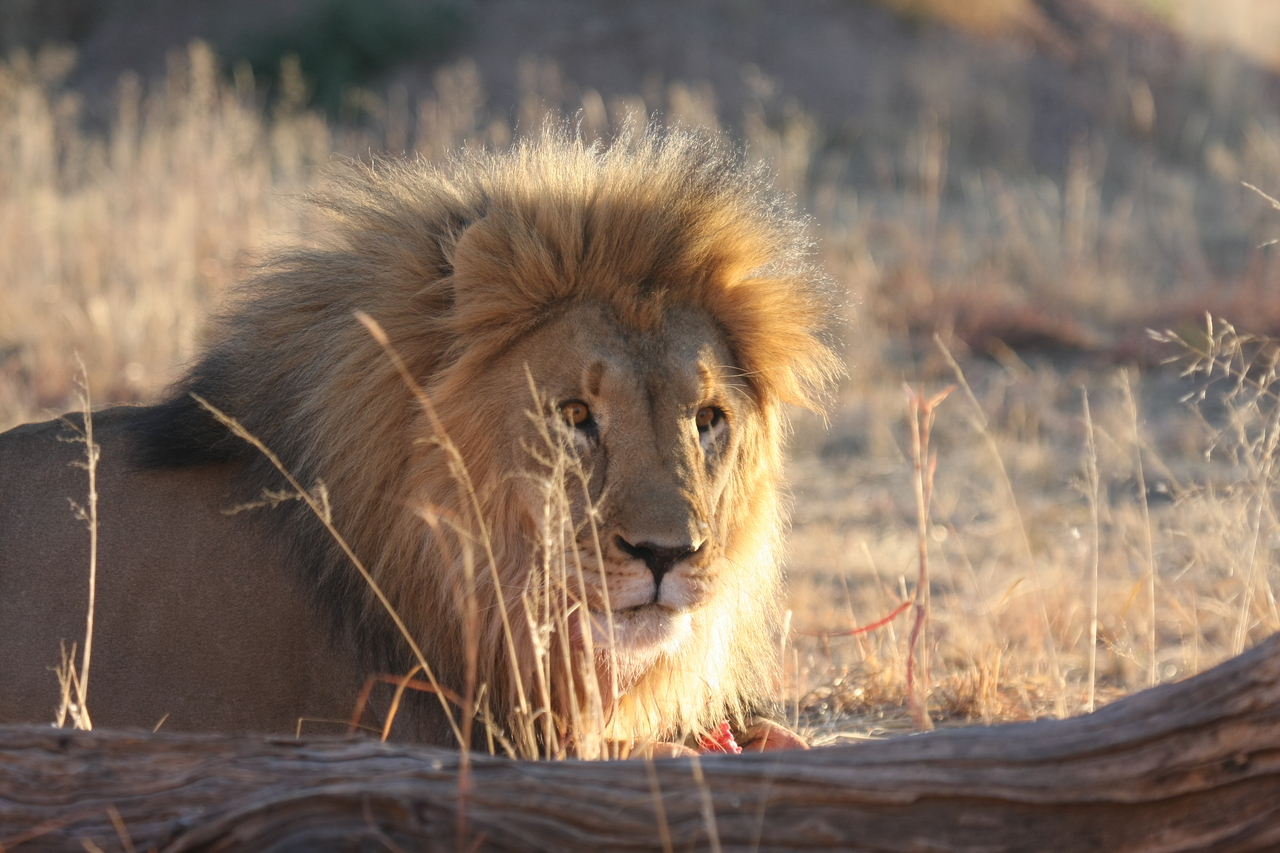 [8180] 2016_06_23_11_52_05_Africa_Canon_EOS_40D_IMG__01670.jpg