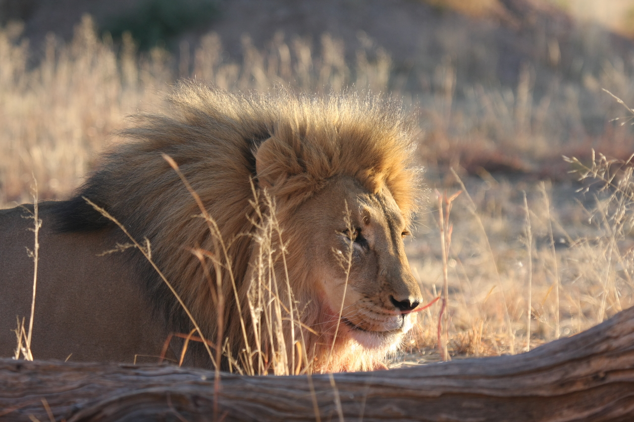 [8186] 2016_06_23_11_52_06_Africa_Canon_EOS_40D_IMG__01672.jpg