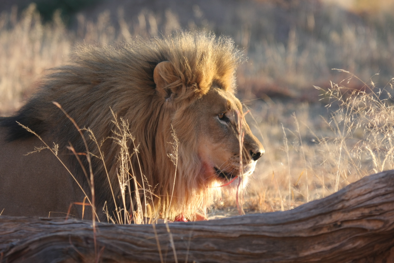 [8190] 2016_06_23_11_52_09_Africa_Canon_EOS_40D_IMG__00841.jpg