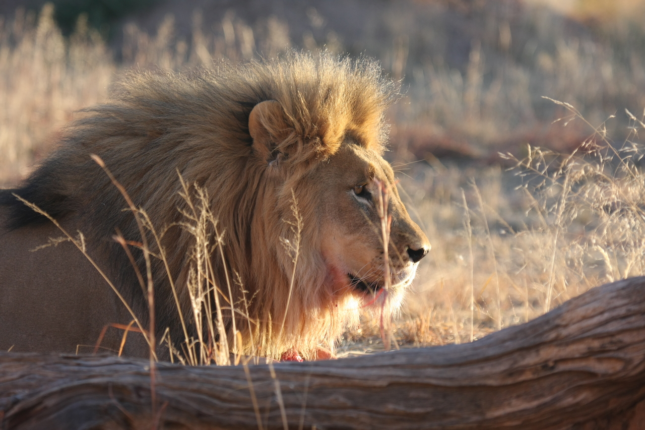 [8195] 2016_06_23_11_52_09_Africa_Canon_EOS_40D_IMG__09121.jpg