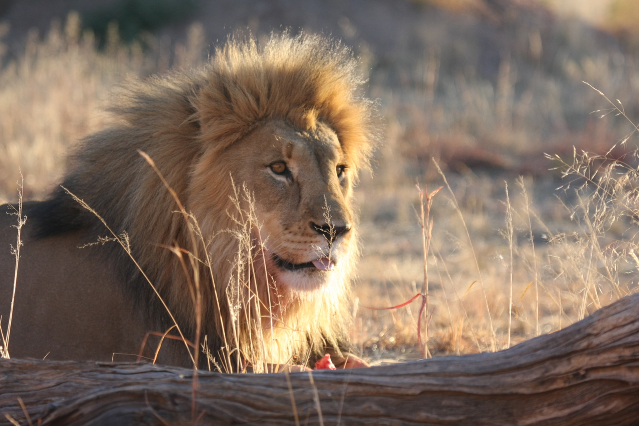 [8203] 2016_06_23_11_52_12_Africa_Canon_EOS_40D_IMG__00845.jpg