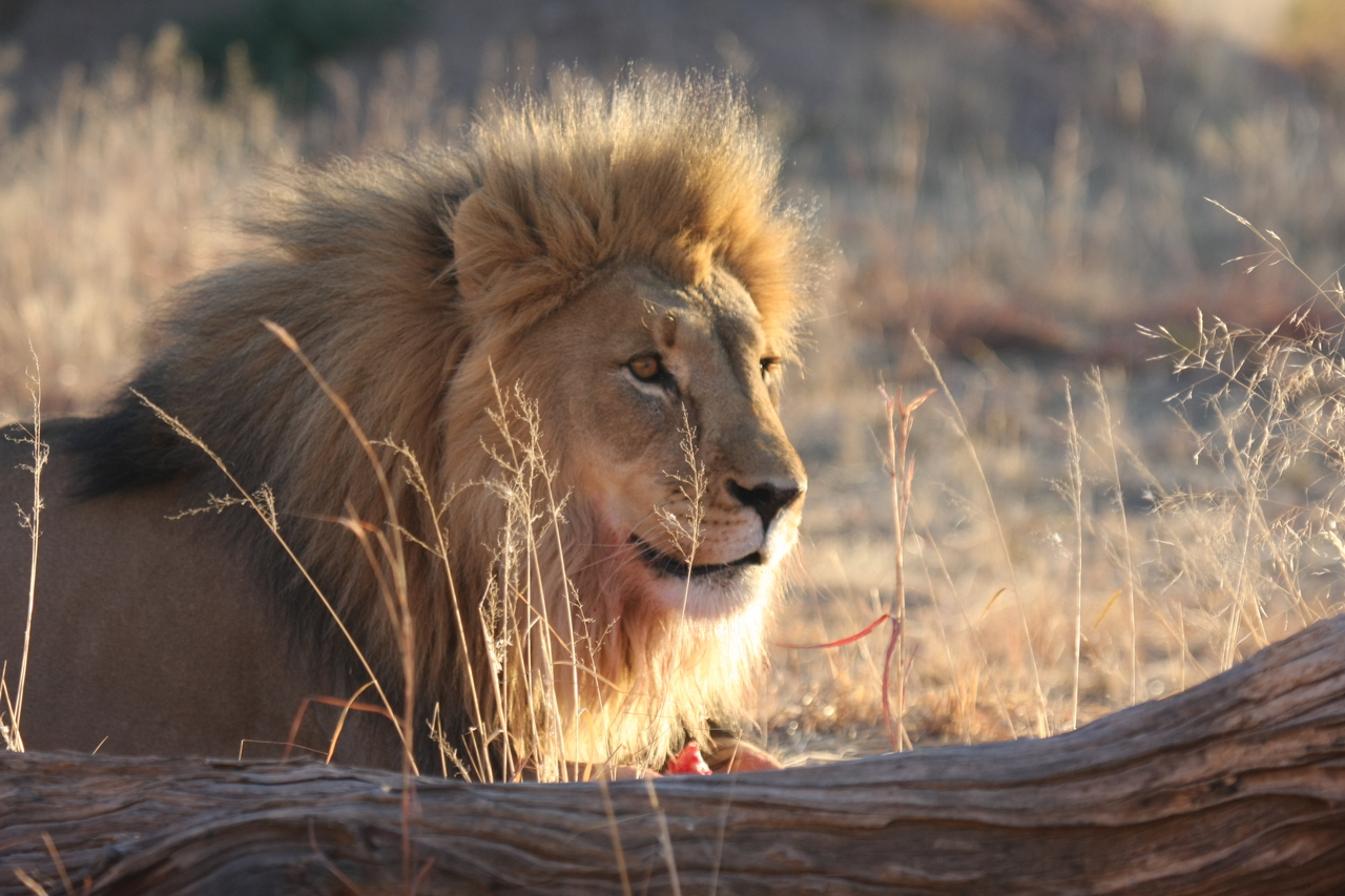 [8208] 2016_06_23_11_52_12_Africa_Canon_EOS_40D_IMG__09127.jpg