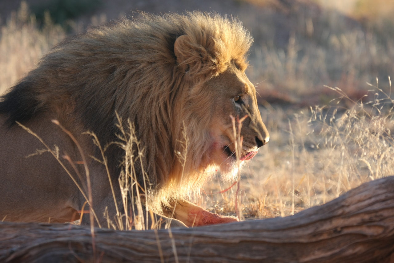 [8215] 2016_06_23_11_52_15_Africa_Canon_EOS_40D_IMG__01682.jpg