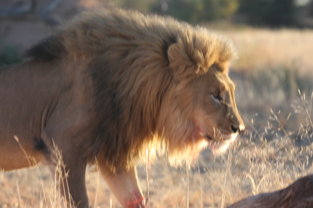 [8217] 2016_06_23_11_52_15_Africa_Canon_EOS_40D_IMG__01684.jpg