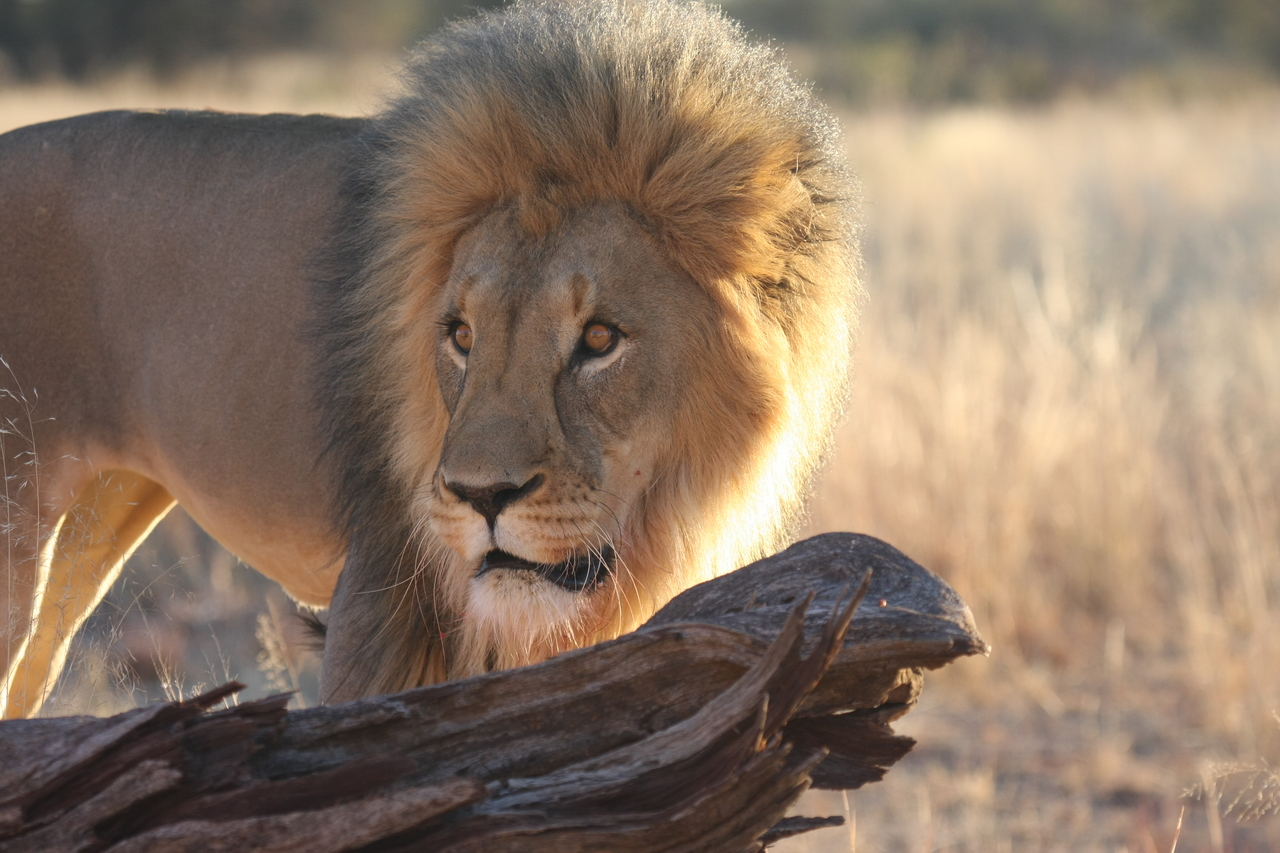 [8226] 2016_06_23_11_52_21_Africa_Canon_EOS_40D_IMG__09133.jpg