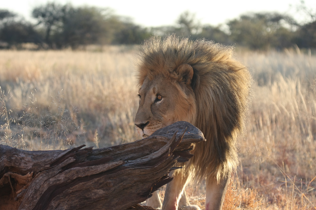 [8244] 2016_06_23_11_52_29_Africa_Canon_EOS_40D_IMG__09140.jpg