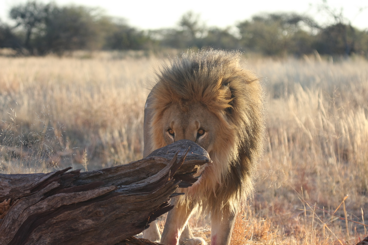 [8245] 2016_06_23_11_52_30_Africa_Canon_EOS_40D_IMG__00860.jpg