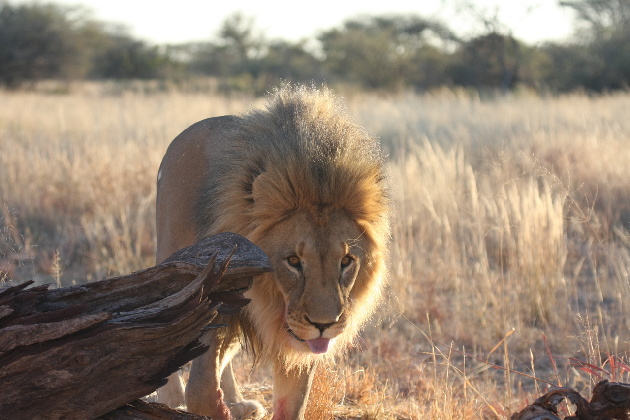 [8250] 2016_06_23_11_52_30_Africa_Canon_EOS_40D_IMG__01696.jpg