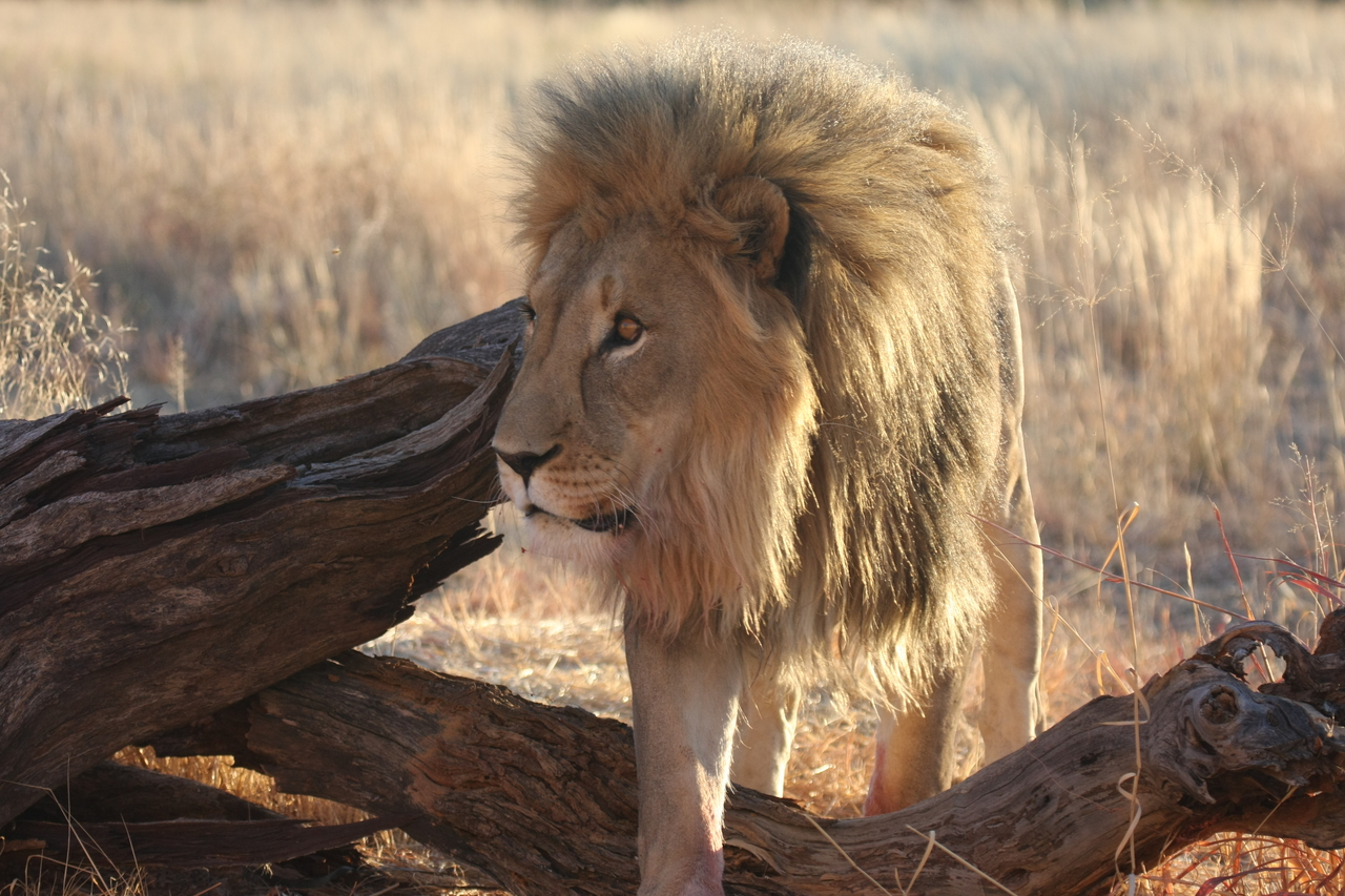 [8269] 2016_06_23_11_52_33_Africa_Canon_EOS_40D_IMG__09149.jpg