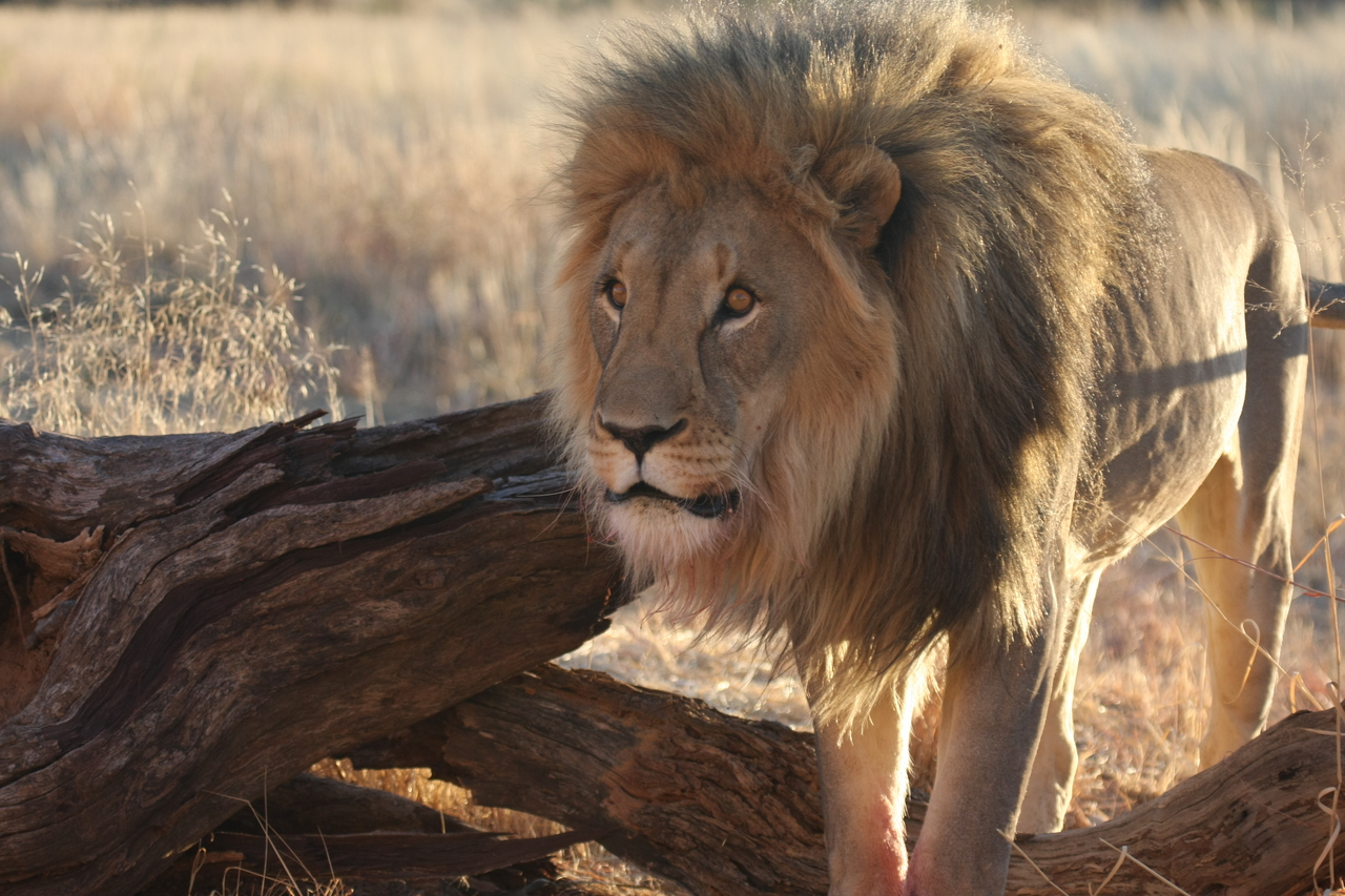 [8272] 2016_06_23_11_52_34_Africa_Canon_EOS_40D_IMG__00871.jpg