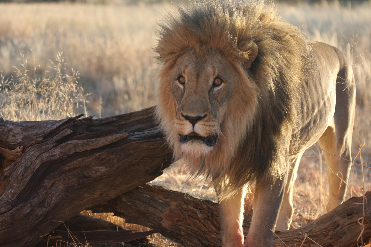 [8276] 2016_06_23_11_52_34_Africa_Canon_EOS_40D_IMG__01706.jpg