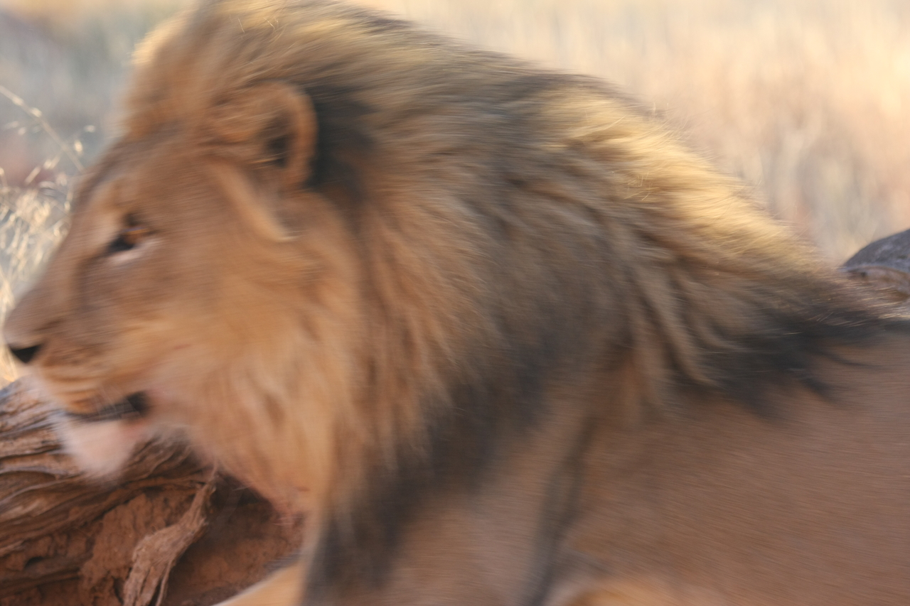 [8287] 2016_06_23_11_53_24_Africa_Canon_EOS_40D_IMG__09155.jpg