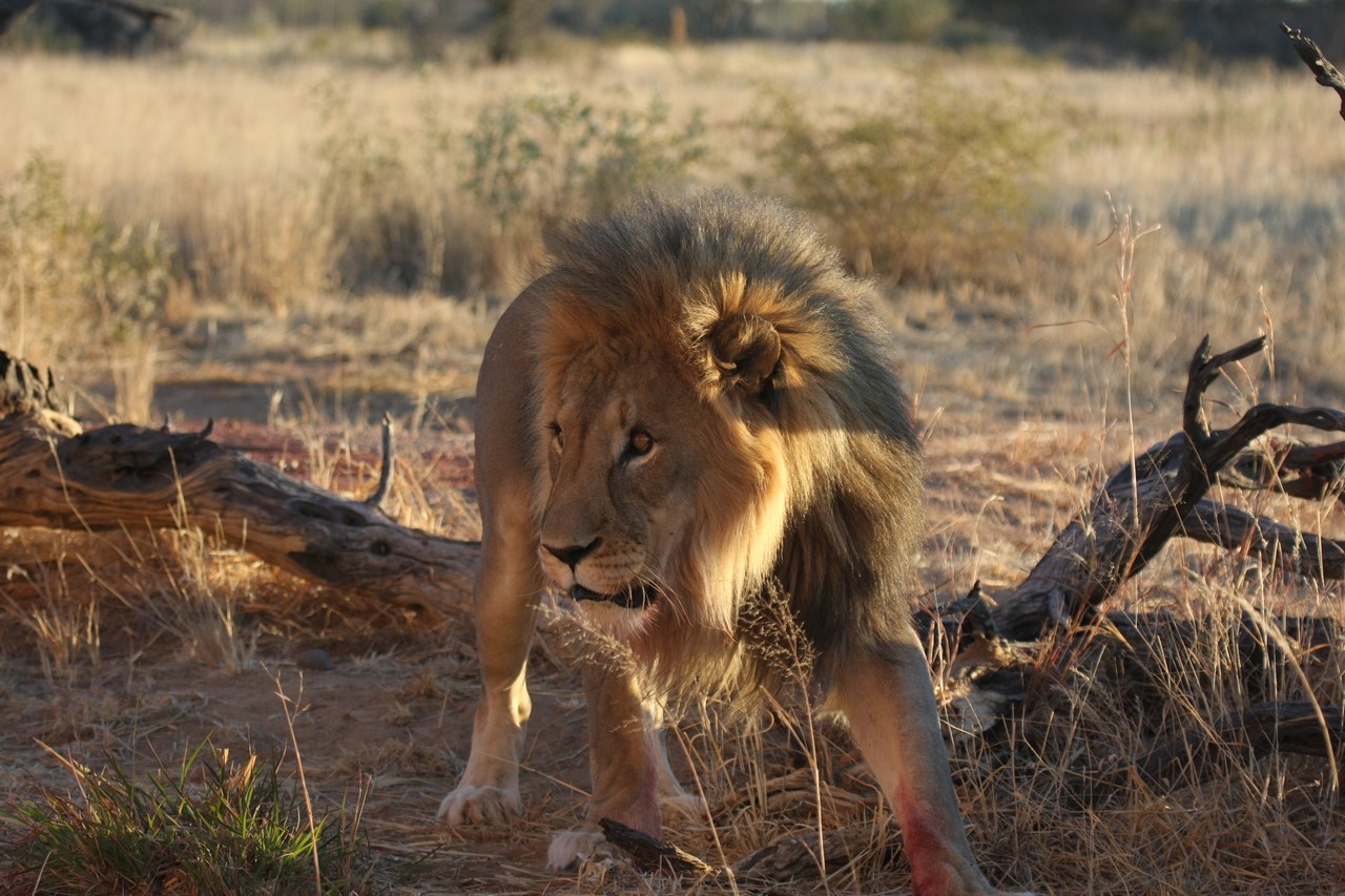 [8332] 2016_06_23_11_53_45_Africa_Canon_EOS_40D_IMG__01724.jpg