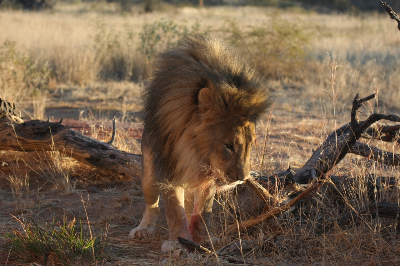 [8339] 2016_06_23_11_53_46_Africa_Canon_EOS_40D_IMG__00894.jpg