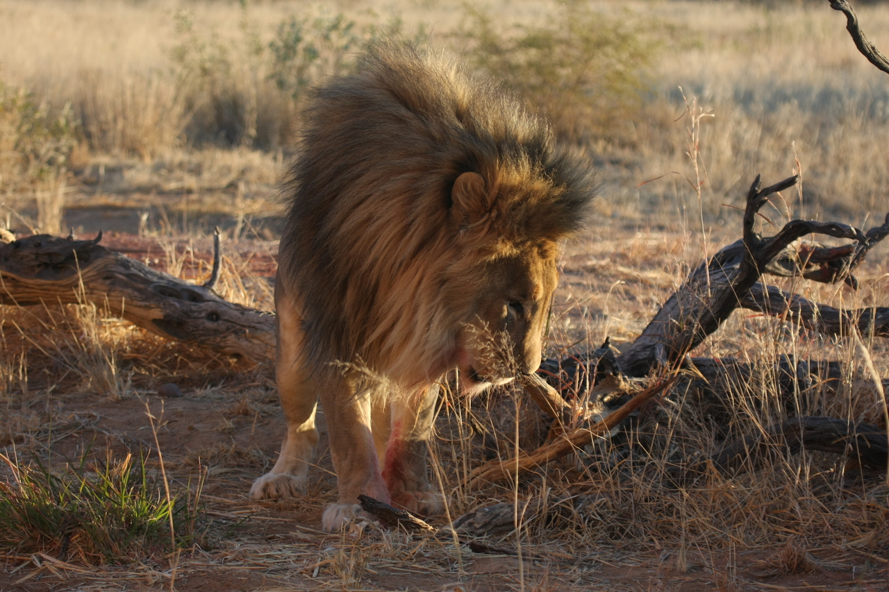 [8340] 2016_06_23_11_53_46_Africa_Canon_EOS_40D_IMG__00895.jpg