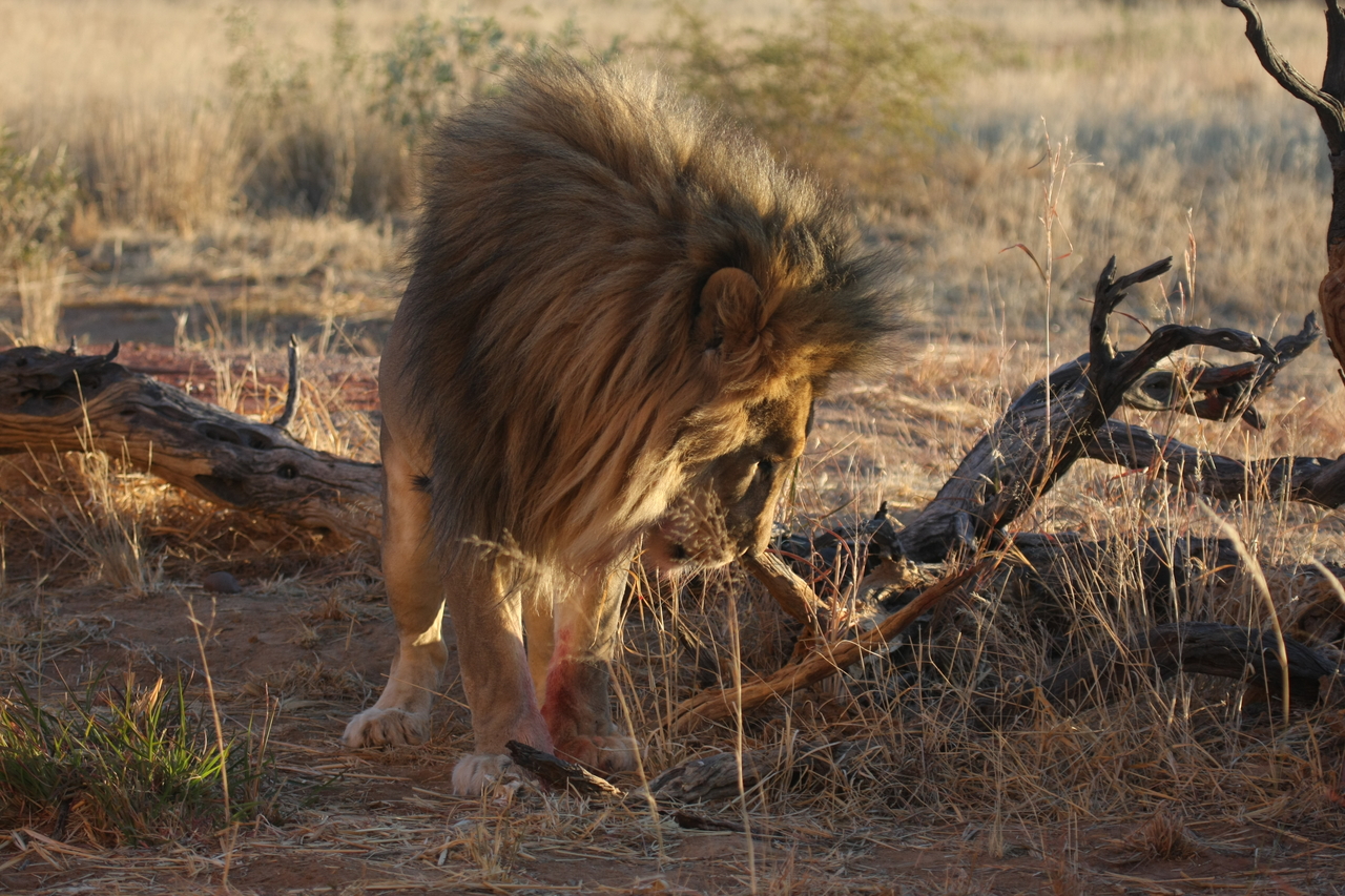 [8347] 2016_06_23_11_53_47_Africa_Canon_EOS_40D_IMG__00896.jpg