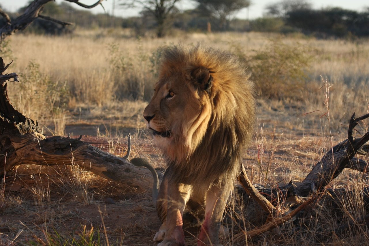 [8350] 2016_06_23_11_53_53_Africa_Canon_EOS_40D_IMG__00897.jpg