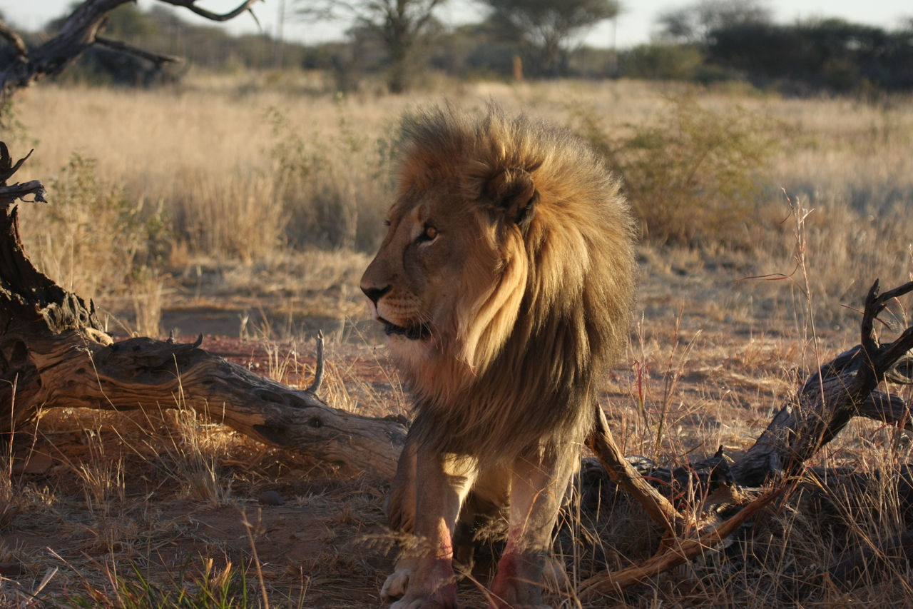 [8351] 2016_06_23_11_53_53_Africa_Canon_EOS_40D_IMG__00899.jpg