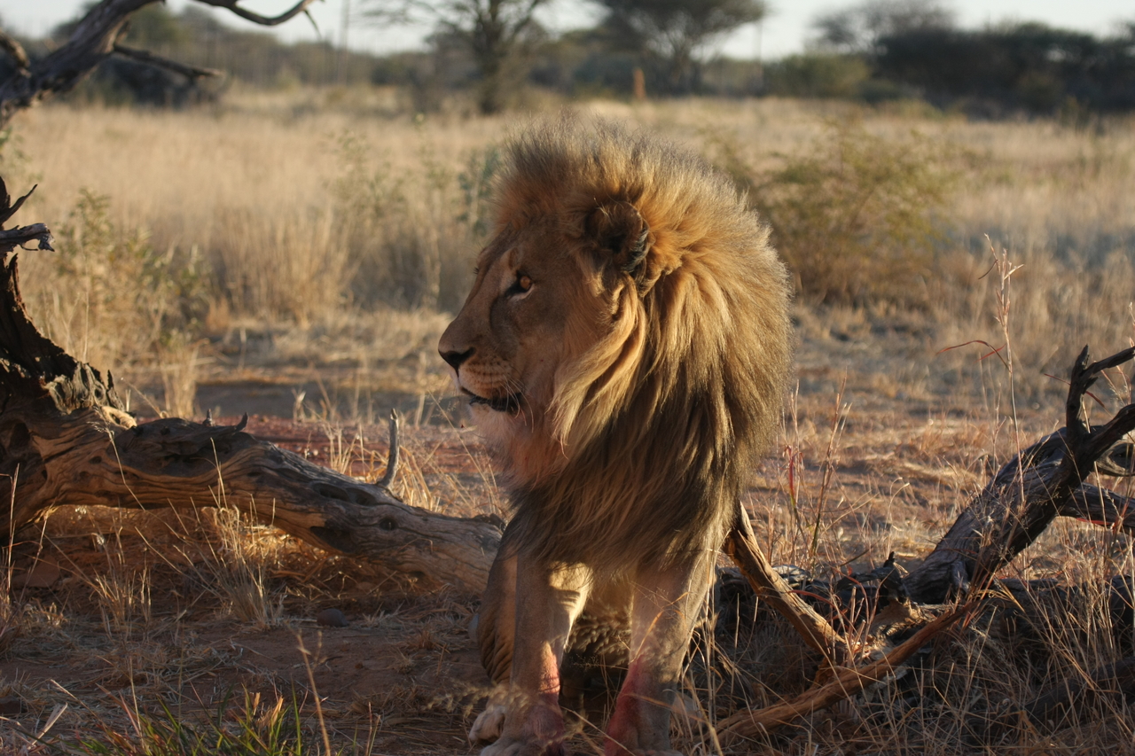 [8358] 2016_06_23_11_53_53_Africa_Canon_EOS_40D_IMG__09181.jpg