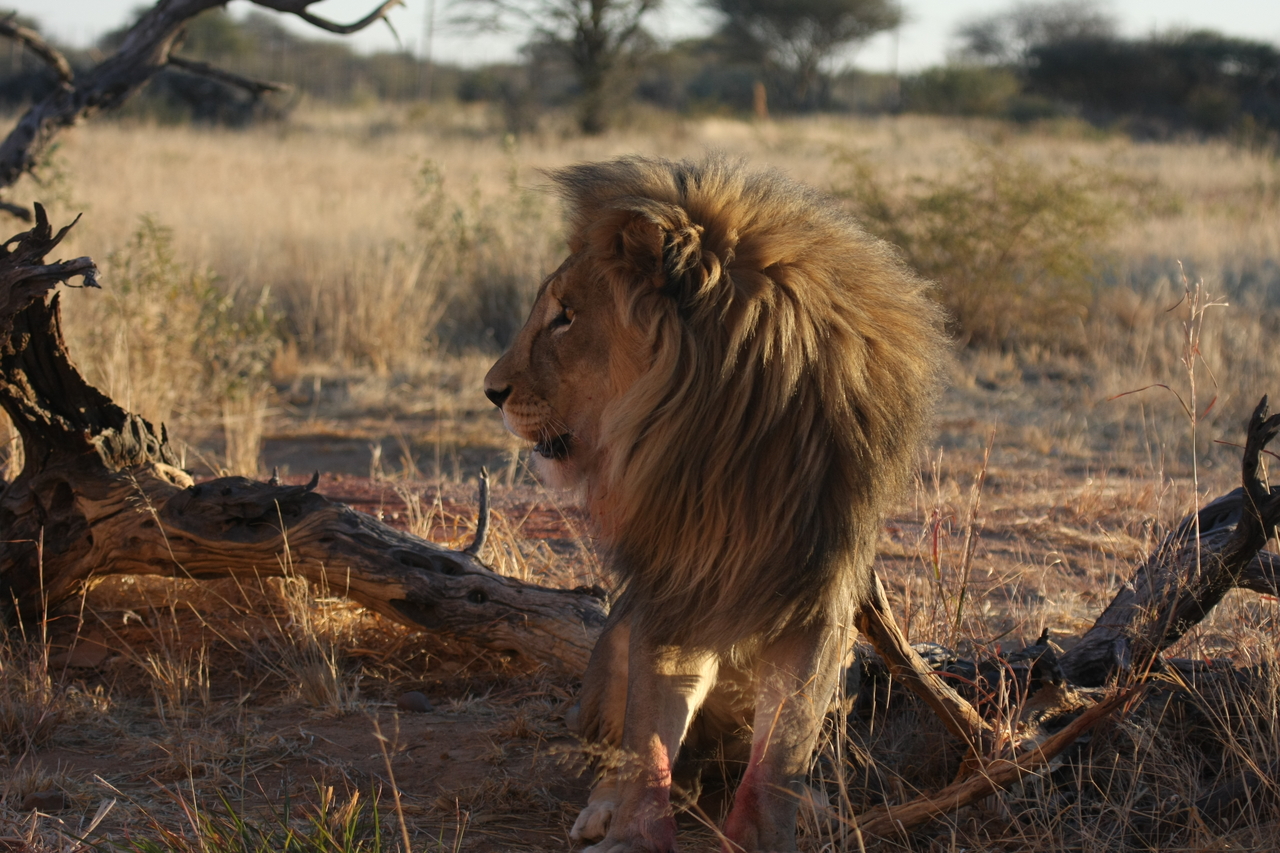 [8359] 2016_06_23_11_53_57_Africa_Canon_EOS_40D_IMG__00901.jpg