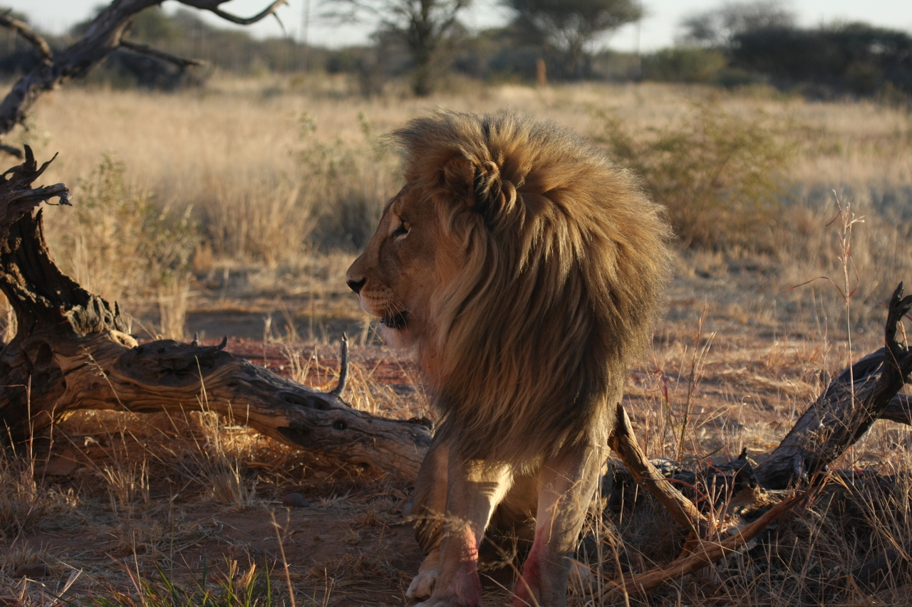 [8360] 2016_06_23_11_53_57_Africa_Canon_EOS_40D_IMG__00902.jpg