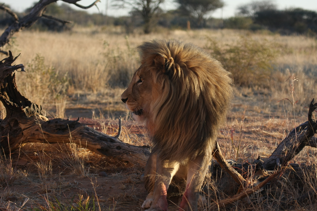 [8367] 2016_06_23_11_53_57_Africa_Canon_EOS_40D_IMG__09184.jpg