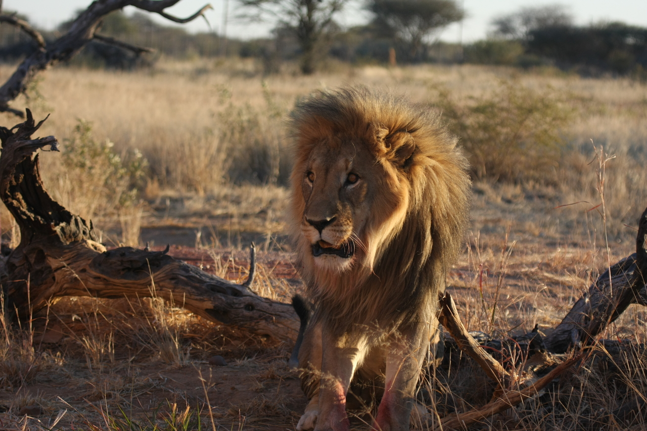 [8375] 2016_06_23_11_54_03_Africa_Canon_EOS_40D_IMG__00905.jpg