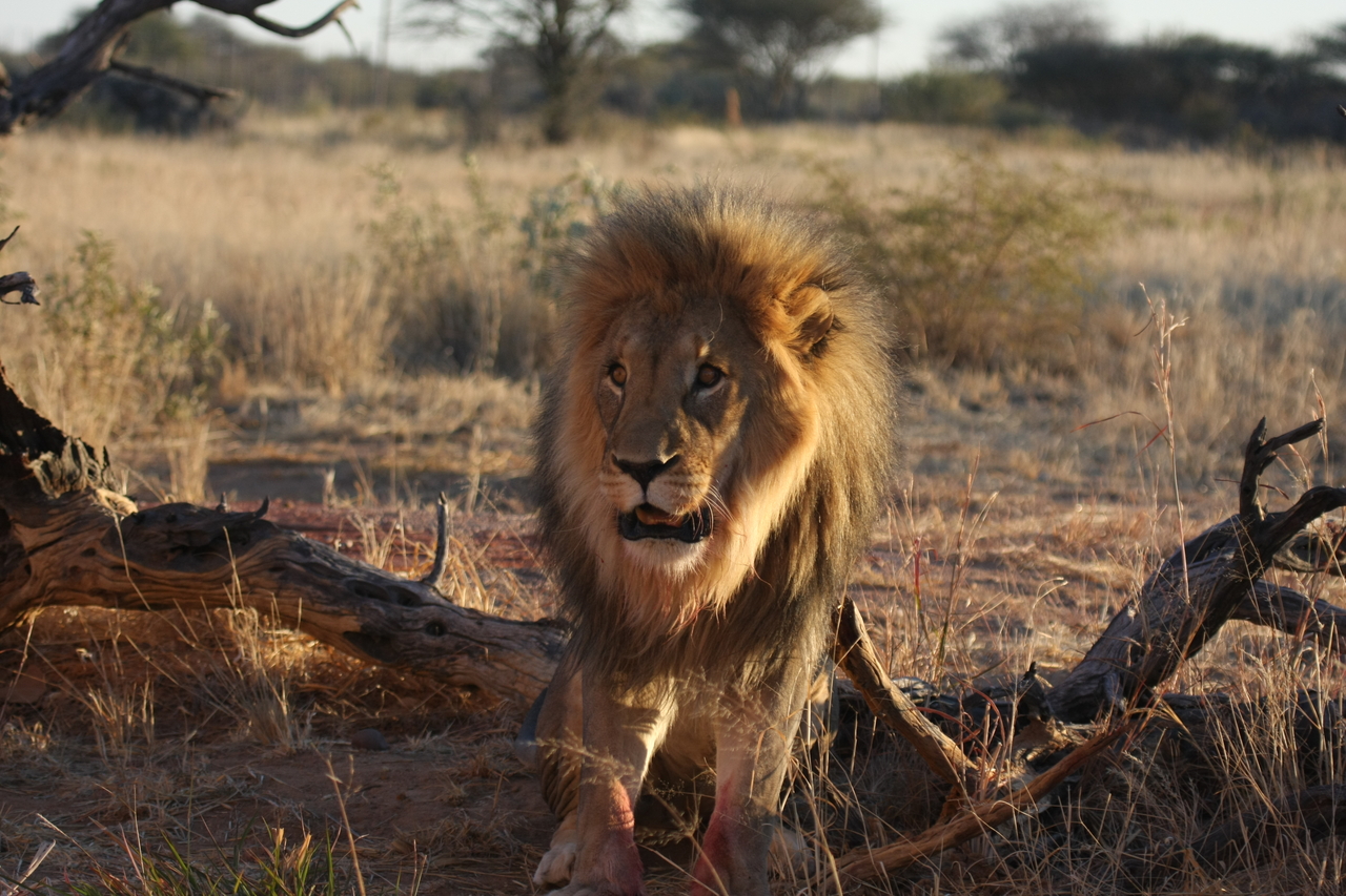 [8380] 2016_06_23_11_54_03_Africa_Canon_EOS_40D_IMG__01741.jpg