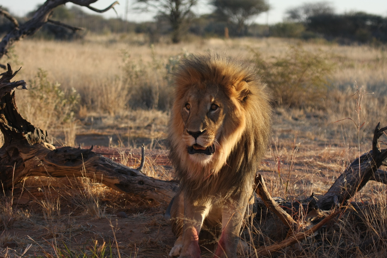 [8382] 2016_06_23_11_54_03_Africa_Canon_EOS_40D_IMG__09187.jpg