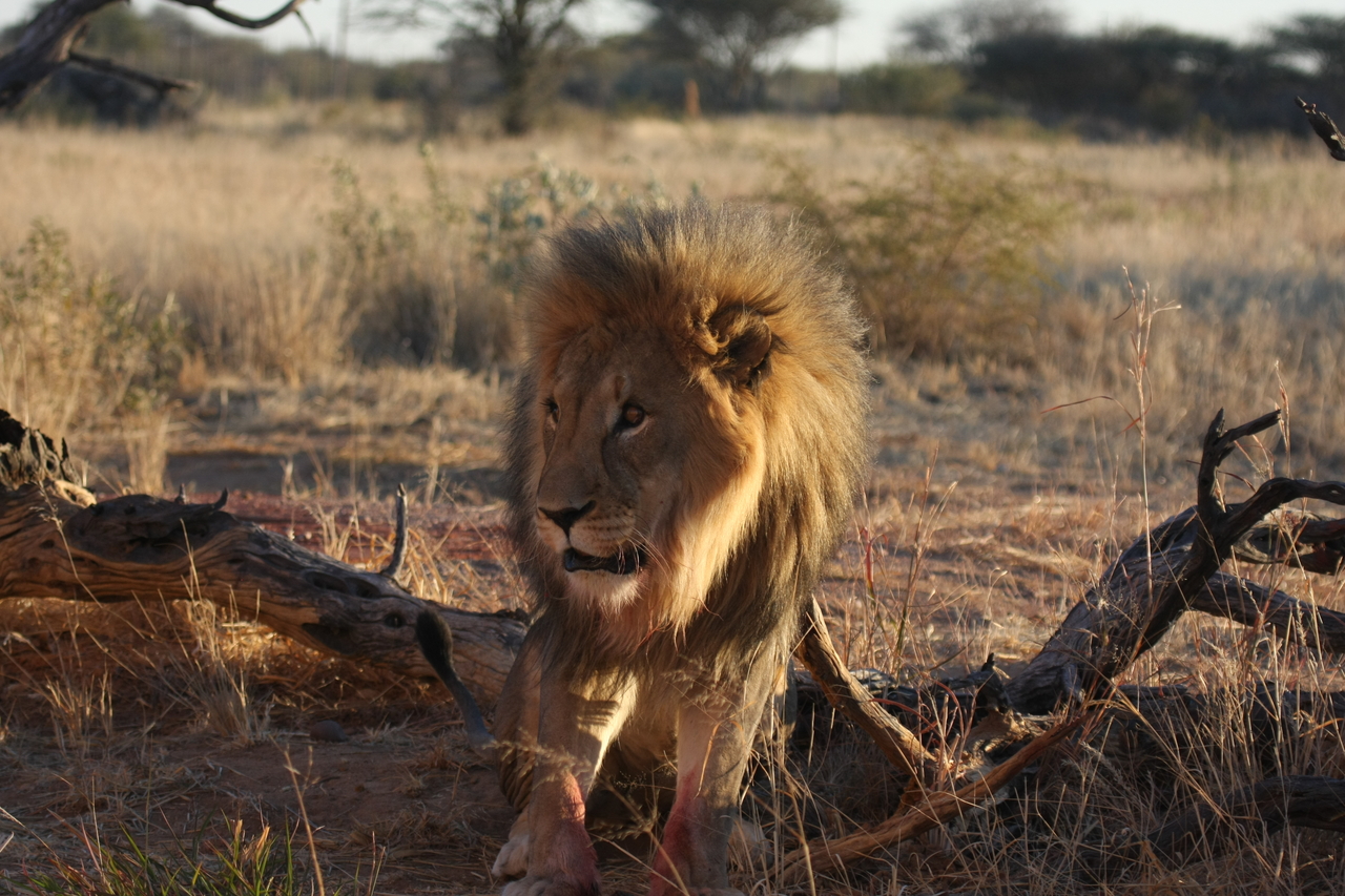 [8387] 2016_06_23_11_54_04_Africa_Canon_EOS_40D_IMG__01744.jpg