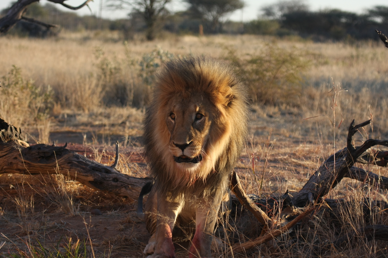 [8388] 2016_06_23_11_54_04_Africa_Canon_EOS_40D_IMG__09189.jpg