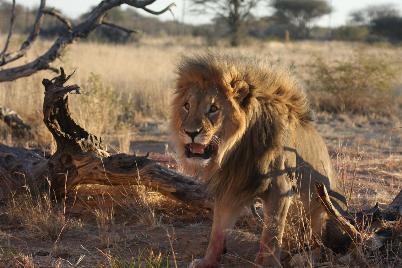 [8393] 2016_06_23_11_54_12_Africa_Canon_EOS_40D_IMG__00912.jpg