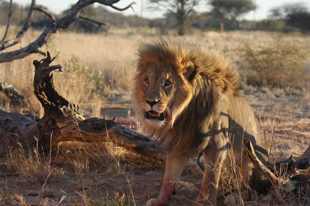 [8401] 2016_06_23_11_54_13_Africa_Canon_EOS_40D_IMG__00914.jpg