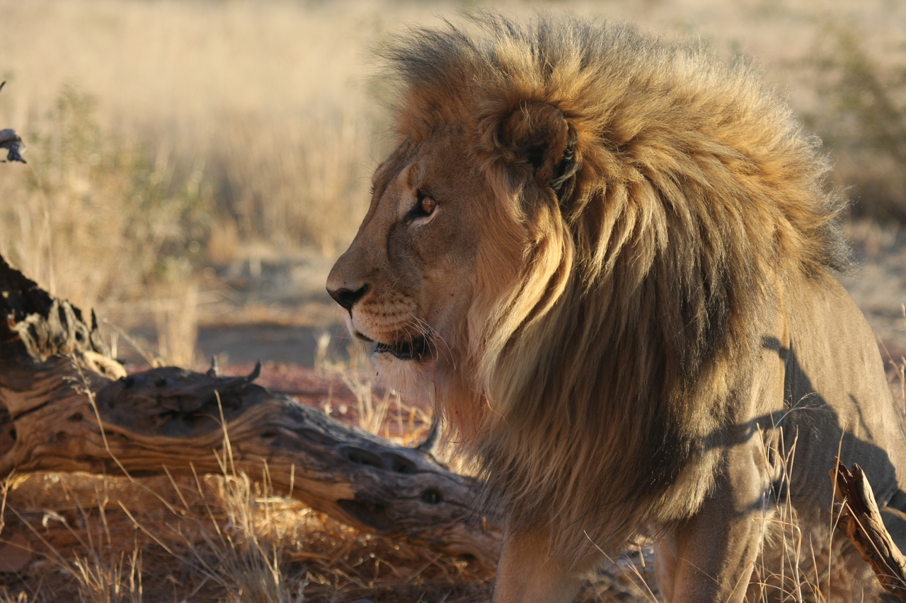 [8430] 2016_06_23_11_54_19_Africa_Canon_EOS_40D_IMG__09205.jpg