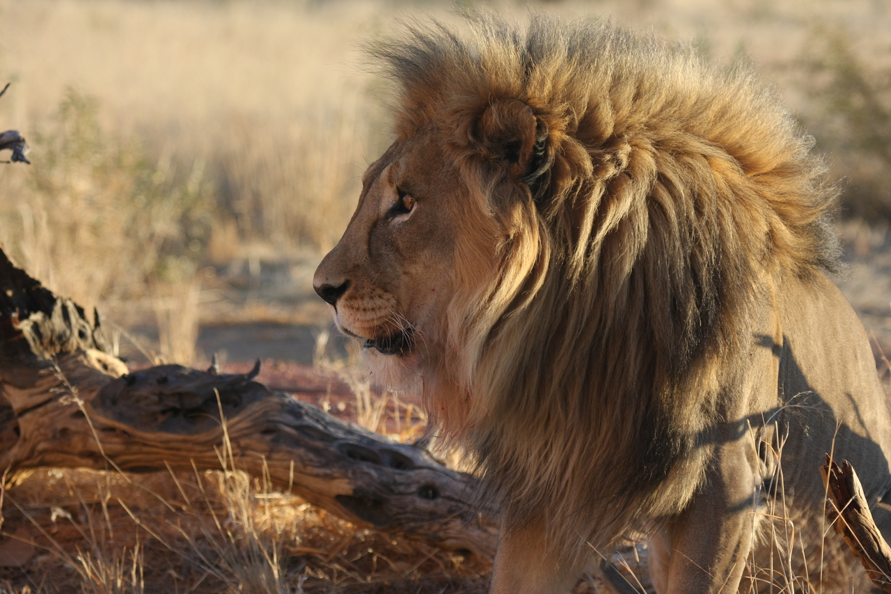 [8431] 2016_06_23_11_54_20_Africa_Canon_EOS_40D_IMG__00925.jpg