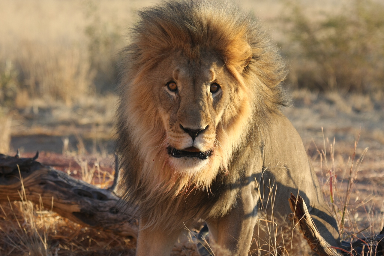 [8456] 2016_06_23_11_54_27_Africa_Canon_EOS_40D_IMG__00930.jpg