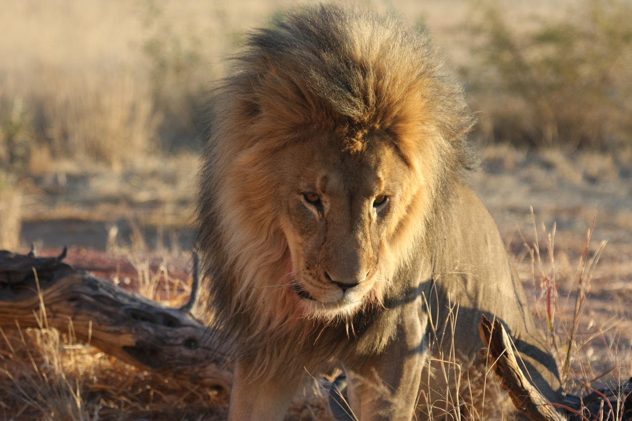 [8468] 2016_06_23_11_54_28_Africa_Canon_EOS_40D_IMG__09214.jpg