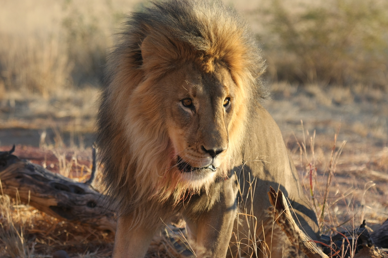 [8469] 2016_06_23_11_54_28_Africa_Canon_EOS_40D_IMG__09215.jpg