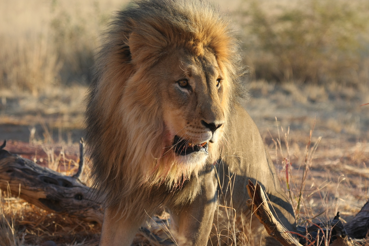 [8471] 2016_06_23_11_54_29_Africa_Canon_EOS_40D_IMG__00936.jpg