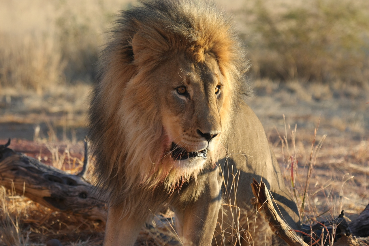 [8476] 2016_06_23_11_54_29_Africa_Canon_EOS_40D_IMG__09216.jpg